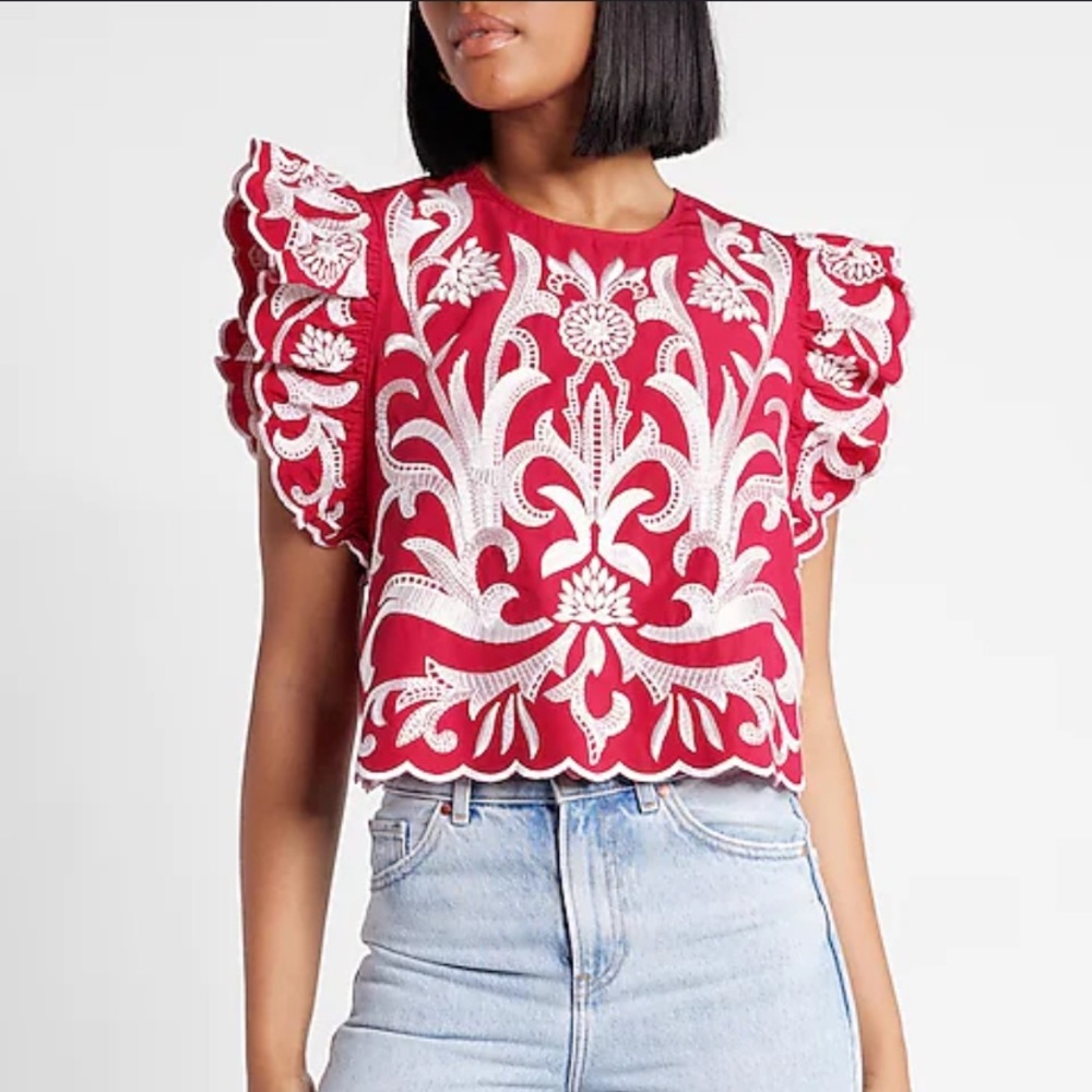 Embroidered Ruffle Sleeve Top Express